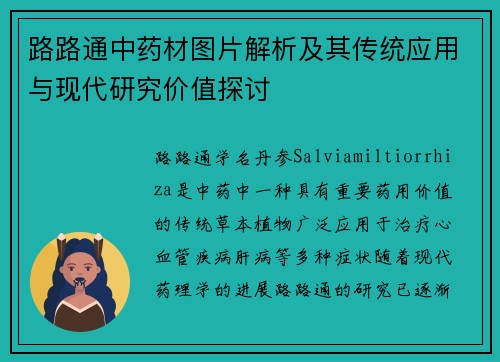 路路通中药材图片解析及其传统应用与现代研究价值探讨